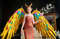 adult wings costume, gold angel wings, devil wings, phoenix costume, articulating wings, gold cosplay wings, moving anime wings, movable wings, wings of fire, p