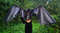 halloween outlook, Bat wings cosplay, halloween costume, toothless cosplay, halloween accessory, horror wings cosplay, dragon wings cosplay, Vampire wings, Batm