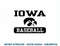 Iowa Hawkeyes Baseball Logo Officially Licensed  .jpg
