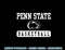 Penn State Nittany Lions Basketball Navy Officially Licensed  .jpg