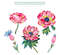 Illustration set anemone flowers painted in oil with large strokes, Floral Clipart PNG and patterns.jpg
