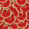 Watermelon Slices 22.jpg