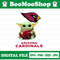 CV_BYF11 Arizona Cardinals.jpg