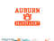 Auburn Tigers Grandparent Officially Licensed png, digital download copy.jpg