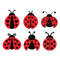 ladybug-SVG-Bundle.jpg