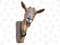 Nubian Goat Head Png, Nubian Goat Png,Goat Png Sublimation Design,Hand Drawn Nubian Goat Png,Barnyard Animals,Goat Face Png,Digital Download - 1.jpg