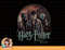 Harry Potter And The Deathly Hallows Group Shot png, sublimate, digital download.jpg