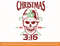WWE Christmas Stone Cold Steve Austin Skull T-Shirt copy.jpg
