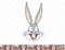 Kids Looney Tunes Bug Bunny Big Face png, sublimation, digital download .jpg