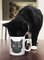 Cat Dad Mug, Cat Dad Coffee Mug, Cat Dad Gift, Fathers Day, Best Cat Dad Ever, cat themed gifts, ceramic mug, Cat mug, gift for dad - 2.jpg
