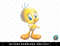 Looney Tunes Tweety Bird Airbrushed png, sublimation, digital download.jpg