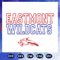 Eastmont-wildcats-eastmont-high-school-wildcats-baseball-svg-BS28072020.jpg