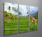 The giraffe goes on a green grass against mountains 3 Split Panel Canvas Print