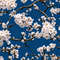 Sakura Flowers on a Azure Background.jpg