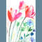 red_pink_blue_flowers_watercolor_painting_sketch_s.jpg