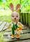 Crochet-Bunny-in-Overalls-Amigurumi-Free-Pattern-2.jpg