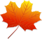 Leaves (6).png