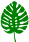 Leaves (6).png