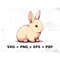 MR-247202310201-cartoon-rabbit-digital-graphic-commercial-use-vector-graphic-image-1.jpg