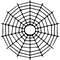 spiderweb-34.jpg