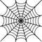 spiderweb-37.jpg