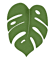 Leaf (1).png