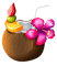 Coconut.png