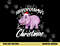 I Want A Hippopotamus For Christmas Shirt Xmas Hippo png, sublimation copy.jpg