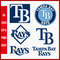 TampaBayRaysMOCUP-01_1024x1024@2x.png