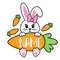 MR-1682023104236-sweet-bunny-image-1.jpg