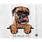 MR-168202314036-boxer-svgpeeking-boxer-dog-breedboxer-with-tonguescute-image-1.jpg