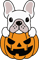 pumpkin frenchie 2.png