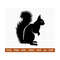 MR-288202321118-squirrel-svg-baby-squirrel-svg-cute-squirrel-svg-forest-image-1.jpg