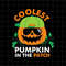 MR-59202311408-coolest-pumpkin-in-the-patch-svg-coolest-pumpkin-svg-pumpkin-image-1.jpg