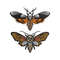 MR-892023111519-mysterious-death-head-moth-embroidery-designs-bundle-image-1.jpg