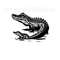 MR-1392023234445-alligator-svg-alligator-clipart-alligator-png-alligator-image-1.jpg