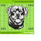 MR-1792023153534-rottweiler-pet-dog-cutting-file-printable-svg-file-for-cricut-image-1.jpg