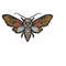 MR-2392023122346-realistic-death-head-moth-embroidery-design-unique-hawk-moth-image-1.jpg