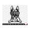 MR-26920232449-belgian-malinois-peeking-svg-png-belgian-malinois-peeking-svg-image-1.jpg