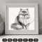 persian cat.jpg