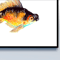 fish_preview2.jpg