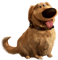 Dog (1).png