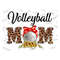 MR-3102023154917-volleyball-leopard-mom-design-png-digital-download-pngsports-image-1.jpg