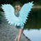 Angel Wings costume.jpg