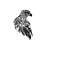 MR-5102023163854-eagle-svg-hawk-clipart-hawk-svg-files-for-cricut-camping-image-1.jpg