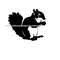 MR-610202314849-squirrel-6-svg-squirrel-svg-squirrel-png-squirrel-design-image-1.jpg