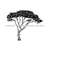 MR-6102023141449-safari-tree-svg-safari-svg-african-tree-svg-tree-clipart-image-1.jpg