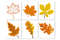 Autumn leaf embroidery design, fall leaves (1).jpg