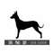 MR-12102023185827-mexican-hairless-svg-dog-svg-xoloitzcuintle-silhouette-svg-image-1.jpg