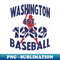 TPL-NQ-20231014-4034_Vintage Washington Baseball Est 1969 - Baseball Batter 9317.jpg